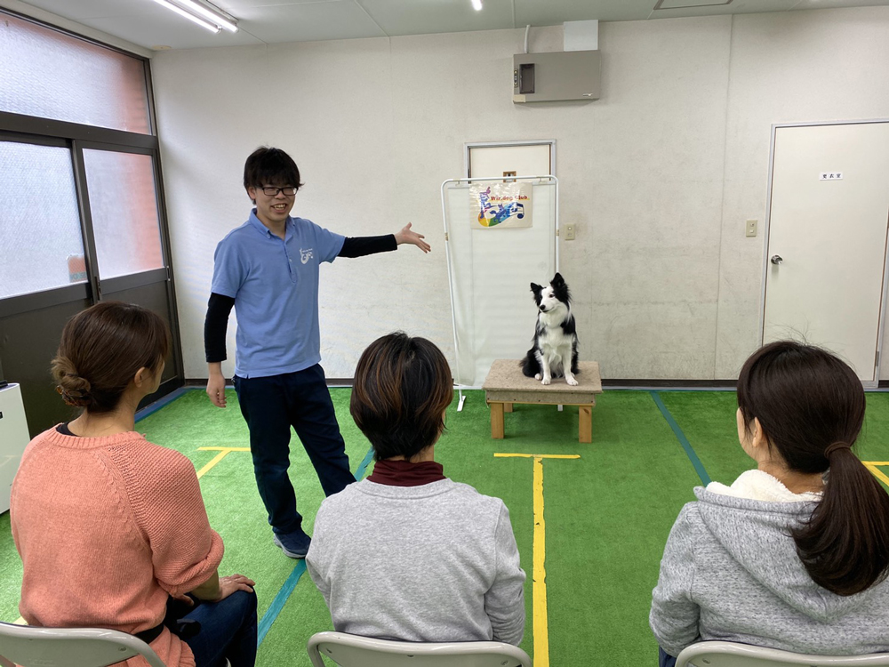 ドッグトレーナーのスクール
